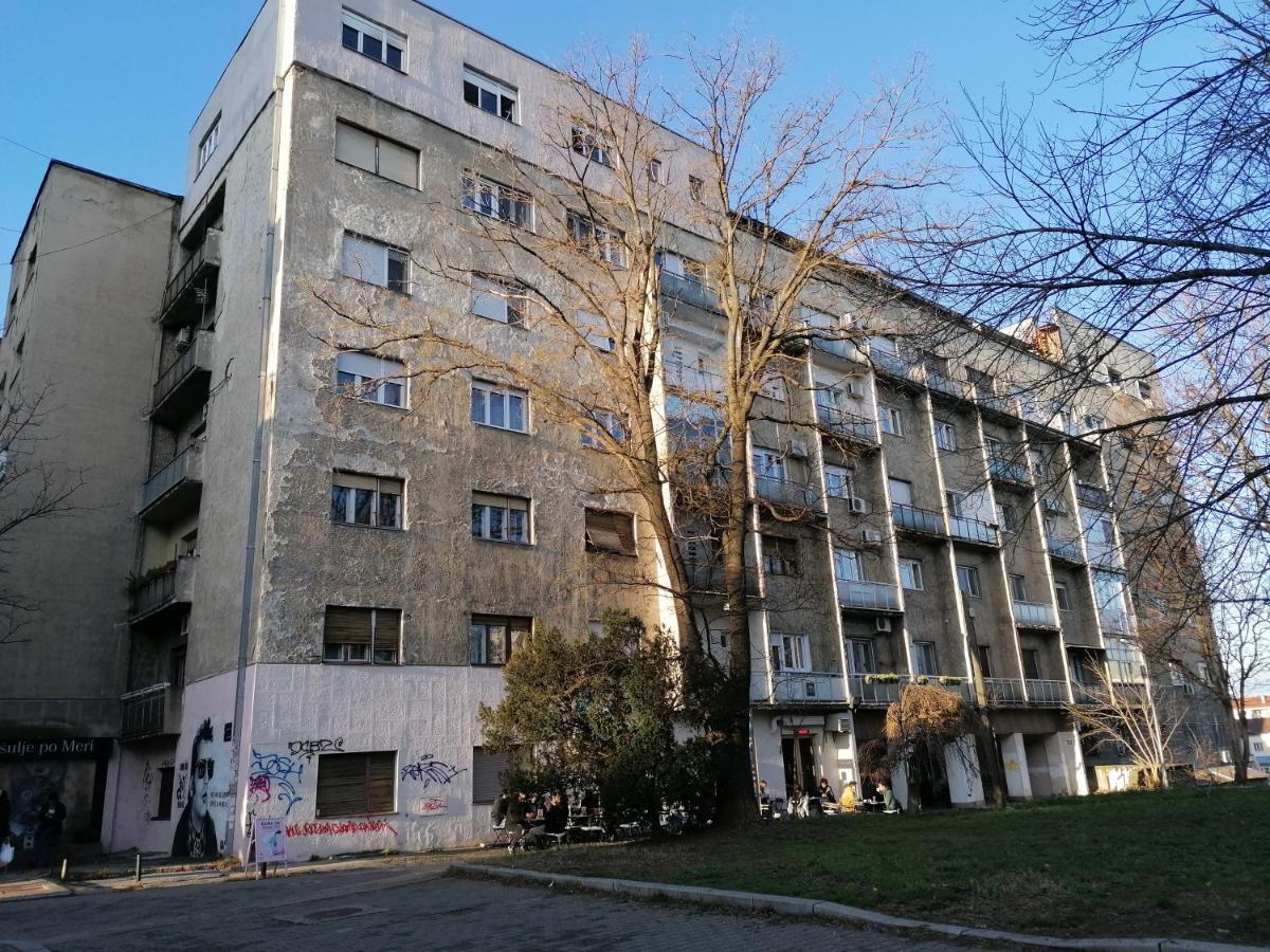 Central Location For You Beograd Eksteriør bilde